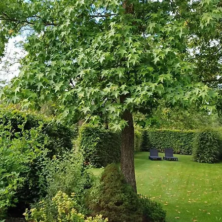 Appenseweg Bed & Breakfast