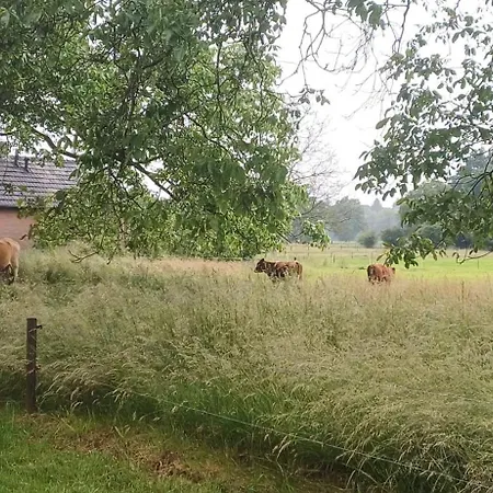 Bed & Breakfast Appenseweg 3*