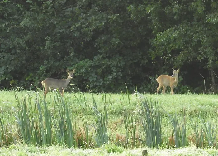 Appenseweg Voorst Gem Voorst