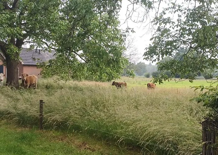 Nocleg ze śniadaniem Appenseweg 3*